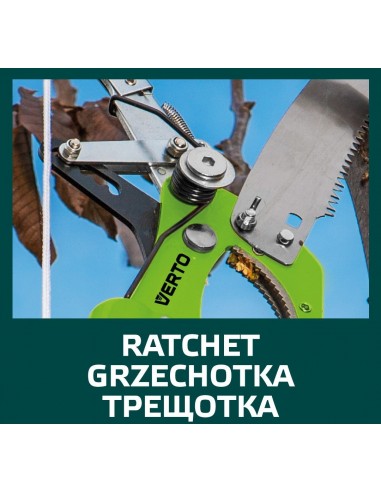 Foarfeca de gradina cu transmisie si fierastrau de gradina, Verto