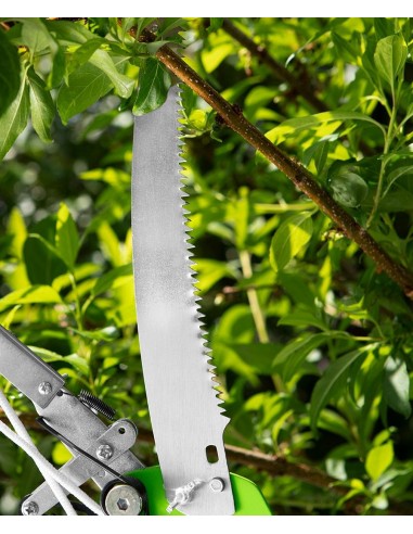 Foarfeca de gradina cu transmisie si fierastrau de gradina, Verto