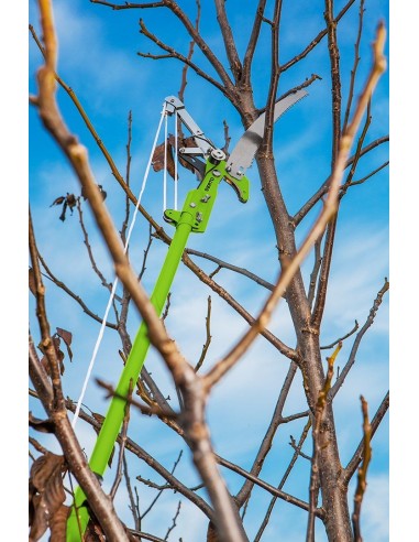 Foarfeca de gradina cu transmisie si fierastrau de gradina, Verto