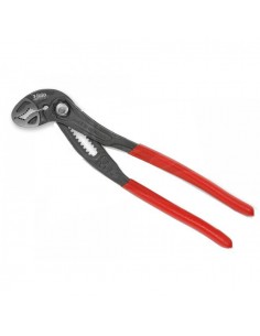 Cleste papagal 250mm, FELO